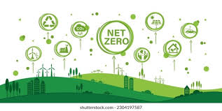 Key Roles Green Consultants Play in Achieving Net Zero Projects